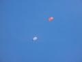DSCN3385