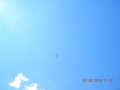 DSCN3100