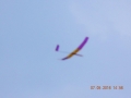 DSCN3109
