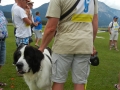 DSCN3729