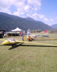 IMG_20190706_101217_resized_20190715_104646706