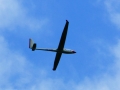 Segeltreffen_2015 - 42